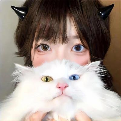 京城九爷的小玫瑰